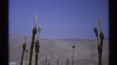 Arizona (1972): Summertime In The Arizona