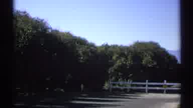 Arizona (1972): An Estate Or Land Of Some Owner Surrounded By Green And Many Fruit