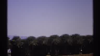 Arizona (1972): Tall Green Trees In A Small Village