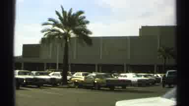 Arizona (1972): Scenes Showing Large Buildings Green Palm Trees And Moving Cars As