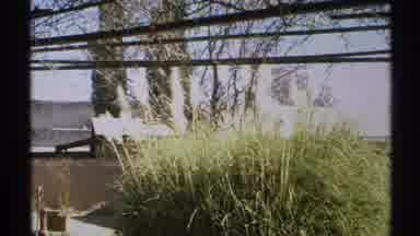 Arizona (1972): A Place Showing How The Nature Changes