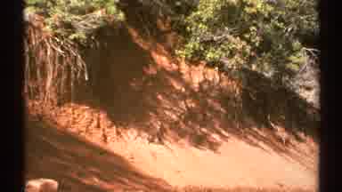 Arizona (1972): Quiet And Deserted Area Surrounded By Dirt Grass And Shrubbery