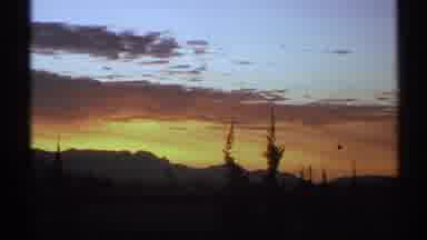 Arizona (1972): Bright Red Flowers For All To See In A National Park