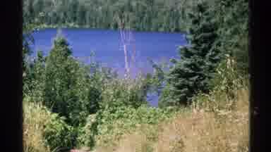 Isle Royale Michigan (1972): Camera Captures The Tall Green Trees And The Lake