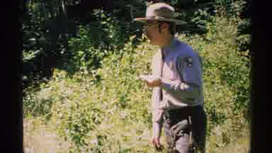 Isle Royale Michigan (1972): Forest Ranger Leads A Group Of People To A Carriage