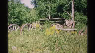 Isle Royale Michigan (1972): Camera Captures Wooden Wagon Sitting In A Field Of