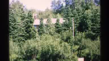 Isle Royale Michigan (1972): A Green Place And The Trees Near The City Was