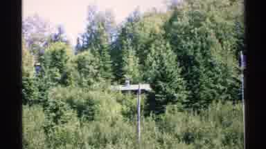 Isle Royale Michigan (1972): View Of Wooden Object Nestled In Green Trees On A