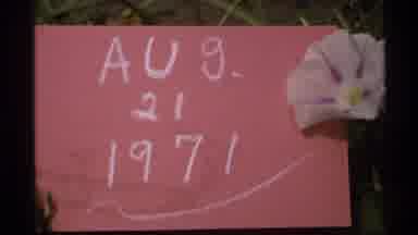 Isle Royale Michigan (1972): A Pink Sign In White And A Band Playing Music