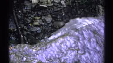 Isle Royale Michigan (1972): A River Slowly Moving Into The Forest And The Slow
