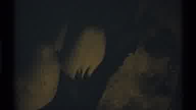 New Mexico (1972): Observing A Creepy Tree In The Ed Of Night