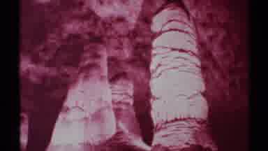 New Mexico (1972): Infrared Capture Of Three Large Thick Palm Trees From Ground