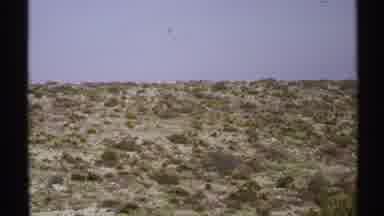 New Mexico (1972): A Place That Mountain Which Is Can't Be Published Without The