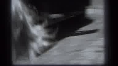 Cleveland Ohio (1939): Toddler Wearing A Dress Walks Up To The Camera As A Cat