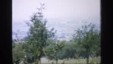 England (1949): A Top View Is Great To See The Flowers And Trees And Mountains