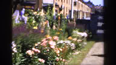 England (1949): Old Filming Of Gardens With Beautiful Colorful Flowers In A