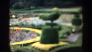 England (1949): Awesome Flowers Inside The Park You And Your Friends Should See