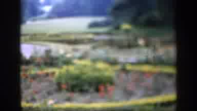 England (1949): Plants And Colorful Plants In The Park