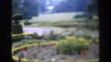 England (1949): View Of Green Garden With Pond And Red Flowers