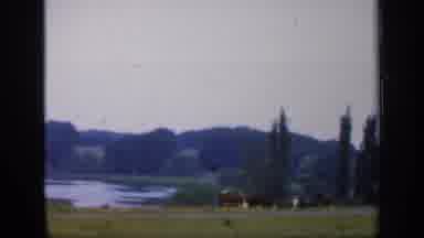 England (1949): Landscape Of Low Hills Cypress Trees And Farms With Open Fields
