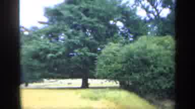 England (1949): Buildings Trees And A Fantastic Park