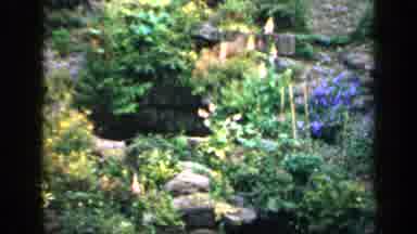 England (1949): An Area Within A Grassy Are Filled With Flowers Of Different Color