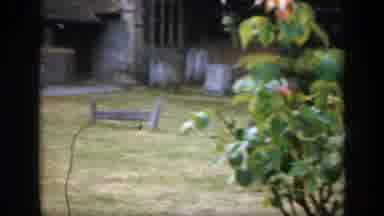 England (1949): Outdoor Garden Roses Tree Lawn Bench Backyard Foliage Stones House