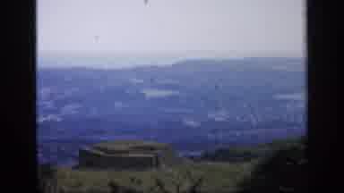 England (1949): A Huge Forest With Green Trees And Some Mountains Were Placed