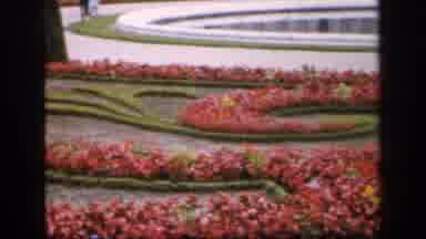 France (1949): People Walking In Manicured Formal Gardens Planted With Pink