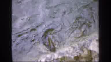 Ireland (1949): Two Fish In Pond Outside Building