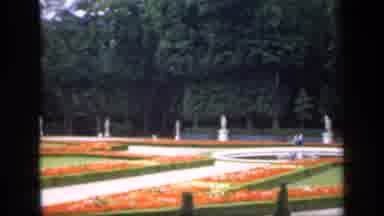IRELAND-1949: View Of Orange Flower Garden And Trees On A Clear Day