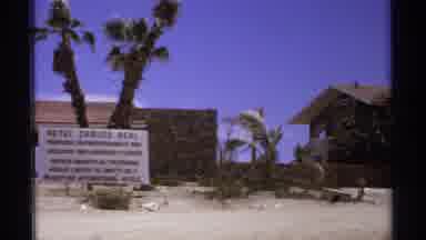 Cabo San Lucas Mexico (1974): View Of Palm Tree On Sandy Tan Island On A Clear Day