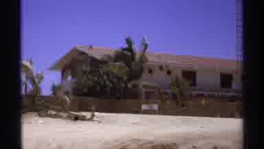 Cabo San Lucas Mexico (1974): Beach House With Palm Trees Overlooks Boats In The