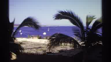 Cabo San Lucas Mexico (1974): A Lady Walks Between Sand And Palm Trees Towards The