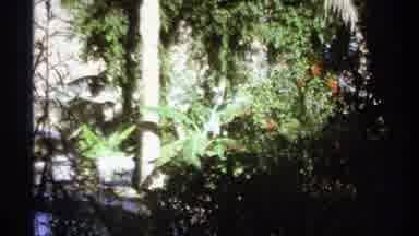Cabo San Lucas Mexico (1974): Three People Sitting At A Table Surrounded By Nature