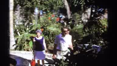 Cabo San Lucas Mexico (1974): Three People Looking At White Flowers On A Bright