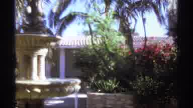 Cabo San Lucas Mexico (1974): A Luscious Garden Filled With Plants Flowers Trees