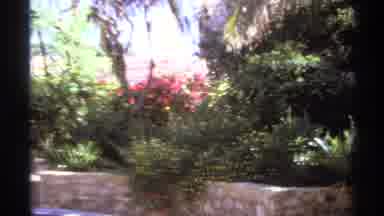 Cabo San Lucas Mexico (1974): Water Fountain Producing Water Next To Trees