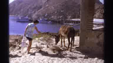 Cabo San Lucas Mexico (1974): A Couple Of Family Members Trying To Give Food To