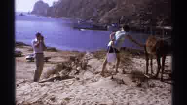 Cabo San Lucas Mexico (1974): Lady And Partner At A National Park Trying To Get A
