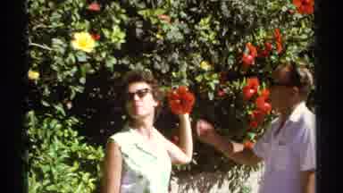 Cabo San Lucas Mexico (1974): Enjoying The Scenery With Friends And Family