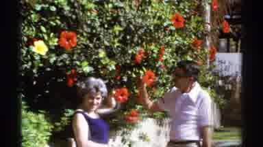 Cabo San Lucas Mexico (1974): Family Lady And Man Was Getting Ready To Give Hose