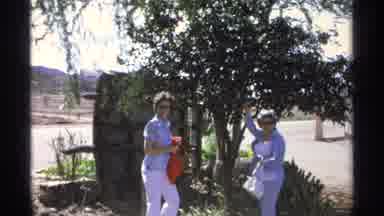 Guaymas Mexico (1975): Two Women Are Near A Tree And One Woman Is Touching The