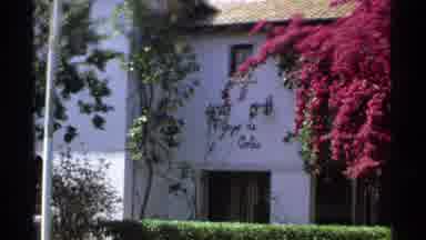 Guaymas Mexico (1975): A Dark And Red Color Cave Institute A Tree In A Street Site
