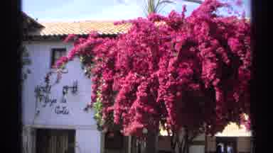 Guaymas Mexico (1975): In Front Of A Populated Building There Is A Large Pink