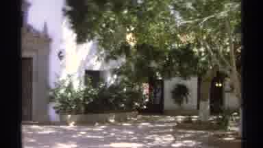 Guaymas Mexico (1975): Dry Courtyard With Green Trees And Plants Providing Shade