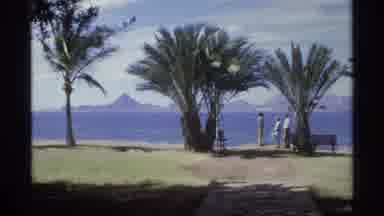 Guaymas Mexico (1975): Three People Standing Between Two Palm Trees While Talking