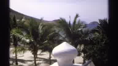 Guaymas Mexico (1975): Camera Pans Across The Palm Trees The Dot The Garden In