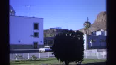Guaymas Mexico (1975): Awesome House Tree Without Laypeople