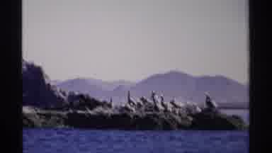 Guaymas Mexico (1975): A Beautiful Lake Area With Very Huge Mountains With Full Of